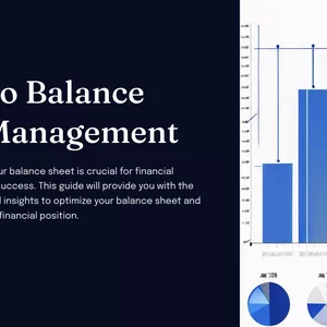 Cover image for Ebook Guide to Balance Sheet Management