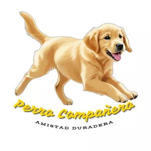 Imagen de portada para Curso online Perro Compañero - Amistad Duradera