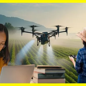 Imagem de capa para o Curso online COMBO CONCURSO EMBRAPA 2025: Plano Diretor + Metodologia da Pesquisa + Simulados