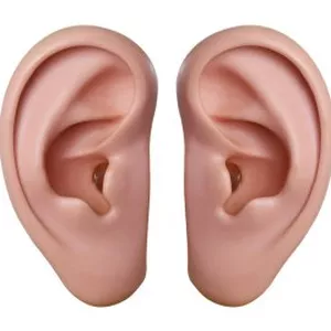 Imagen de portada para Curso online Terapia Auricular: Equilibrio y Bienestar
