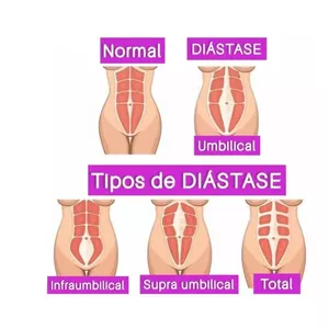Imagem de capa para o Curso online Programa Barriga Sarada 