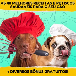 Imagem do curso MELHORES RECEITAS E PETISCOS SAUDÁVEIS PARA SEU CÃO