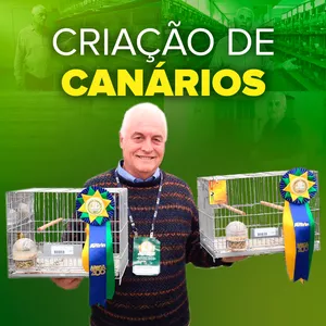 Imagem de capa para o Curso online Criação de canários - com Alvaro Blasina