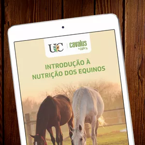 Imagem de capa para o Ebook E-Book Introdução a Nutrição dos Equinos