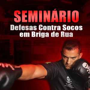 Imagem de capa para o Curso online Seminário Online - Como Defender Socos em uma Briga de Rua 