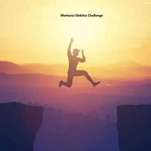 Imagem de capa para o Curso online Mentoria Challenge