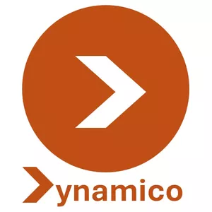 Imagem de capa para o Curso online Dynamico Concursos