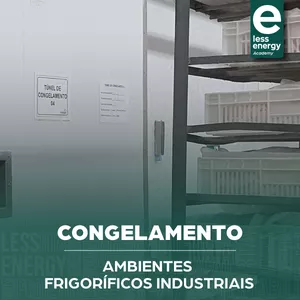 Imagem de capa para o Curso online Ambientes - Módulo 3: Congelamento