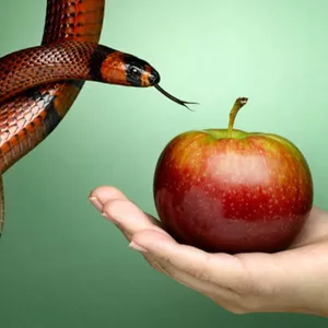 Imagem de capa para o Curso online Os 7 Pecados Capitais