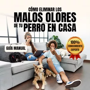 Imagen de portada para Ebook Cómo Eliminar los Malos Olores de Tu Perro en Casa