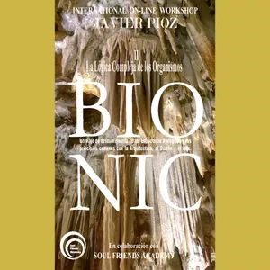Imagen de portada para Curso online Biónica&Arquitectura. Nivel II (Profundización)