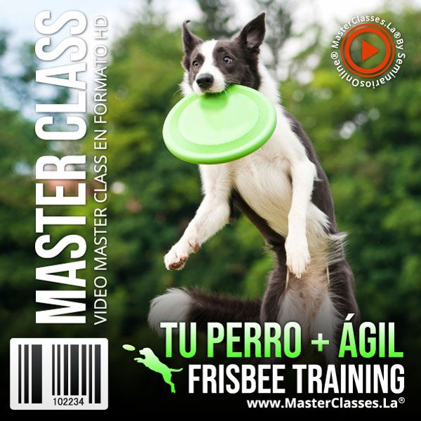 Tu Perro + Ágil - Frisbee Training