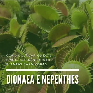 Imagem de capa para o Ebook Como cultivar os dois principais gêneros de Plantas Carnívoras: Dionaea e Nepenthes