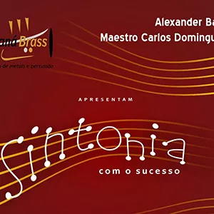Palestra O Poder da Sintonia no Mundo dos negócios (Palestrante + Maestro + Orquestra).