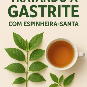 Imagem de capa para o Ebook A Cura da Gastrite 