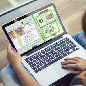 Imagem de capa para o Ebook RG e CERTIDÃO PET.