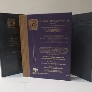 Imagen de portada para Evento online Aprenda fácil como hacer y publicar una tesis: guía paso a paso para lograr una publicación de impacto.