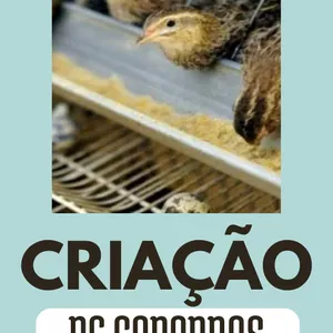 Imagem de capa para o Ebook Conquiste a Independência Financeira com Criação de Codornas