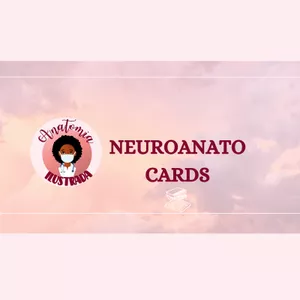 Imagen de portada para Curso online NeuroAnatocards: Flashcards de la Neuroanatomía