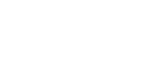 Nord Est Academy logo