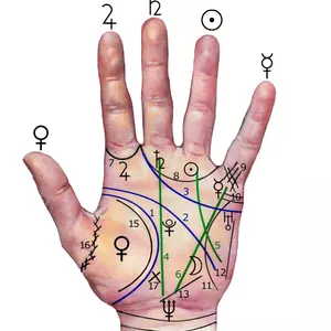 Imagen de portada para Curso online Lectura de Manos ONLINE Individual