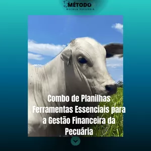 Combo de Planilhas - Ferramentas Poderosas do Casal da Pecuária 