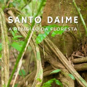 Imagem do curso Santo Daime, a Religião da Floresta