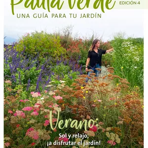 Imagen de portada para Ebook Pauta Verde Verano