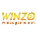 Winzo Game's School logo
