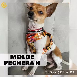 Imagen de portada para Curso online Molde Patron Pechera para perros en H 