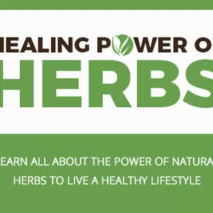 Cover image for Ebook Healing Power Of Herbs