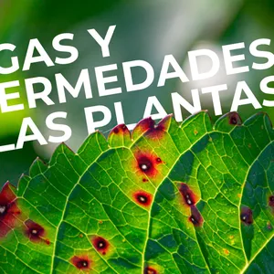 Imagen de portada para Curso online CONTROL DE PLAGAS Y ENFERMEDADES 