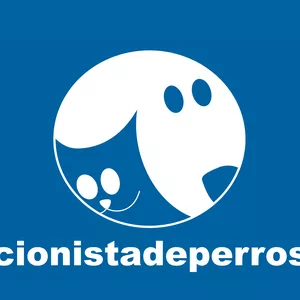 Imagen de portada para Curso online Afiliados Instrucciones Básicas