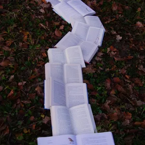 Imagem de capa para o Curso online Livromagia