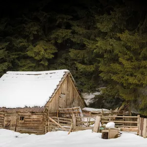 Imagem de capa para o Ebook O sobrevivente 
