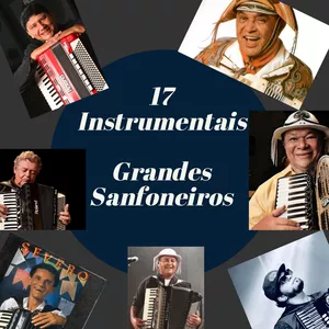 Curso 17 INSTRUMENTAIS DE GRANDES SANFONEIROS | VIDEO AULA - ACORDEON - SANFONA