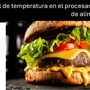 Imagen de portada para Curso online Control de temperatura en el procesamiento de alimentos
