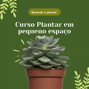 Imagem do curso Curso Plantar em pequeno espaço