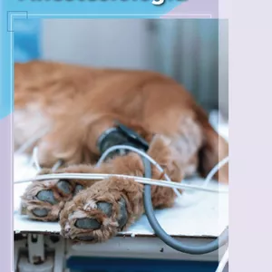 Imagem de capa para o Ebook Módulo Anestesiologia - Preparatório R1 Vet