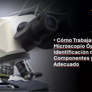 Imagen de portada para Curso online Cómo Trabajar con un Microscopio Óptico: Identificación de los Componentes y Manejo Adecuado.