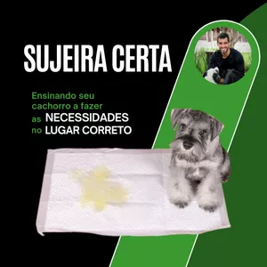 Curso Sujeira Certa