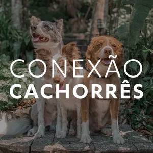 Imagem de capa para o Curso online Conexão Cachorrês