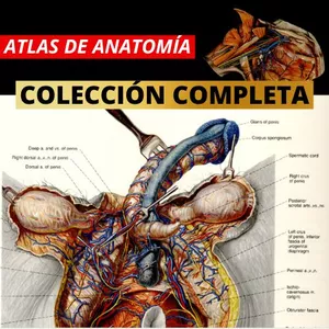 Imagen de portada para Ebook Atlas Completo - Colección Completa  