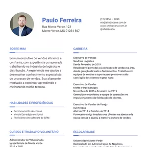 Imagem de capa para o Curso online Currículo Azul E Branco - Modelo Básico E Profissional