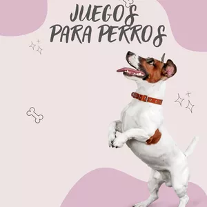 Imagen de portada para Ebook Juegos para perros