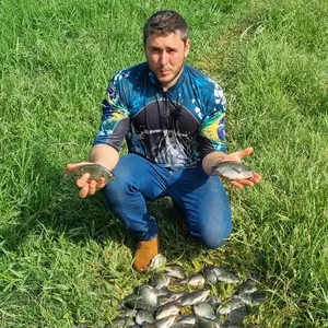 Imagem de capa para o Curso online CRIAÇÃO DE TILÁPIAS NO LABORATÓRIO N°4