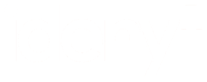 idenyt logo
