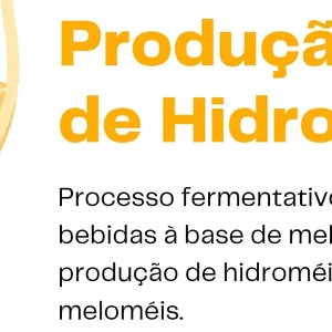 Imagem de capa para o Ebook Cartilha Produção de Hidromel artesanal