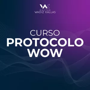 Imagen de portada para Curso online Protocolo WOW