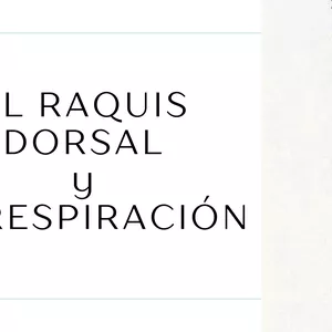 Imagen de portada para Ebook EL RAQUIS DORSAL Y LA RESPIRACIÓN